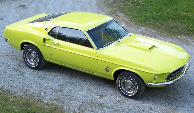 Groovy Green Limited Edition 600